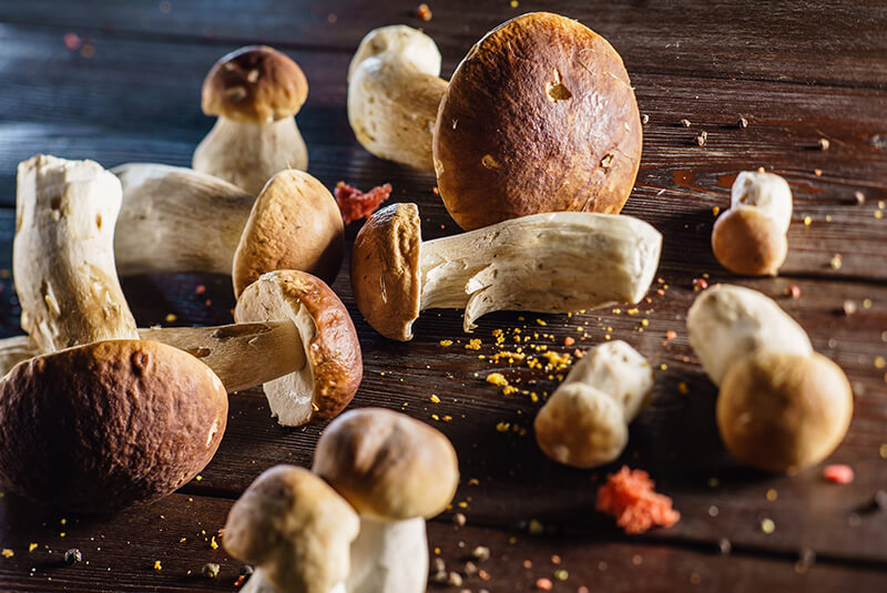 Porcini mushrooms