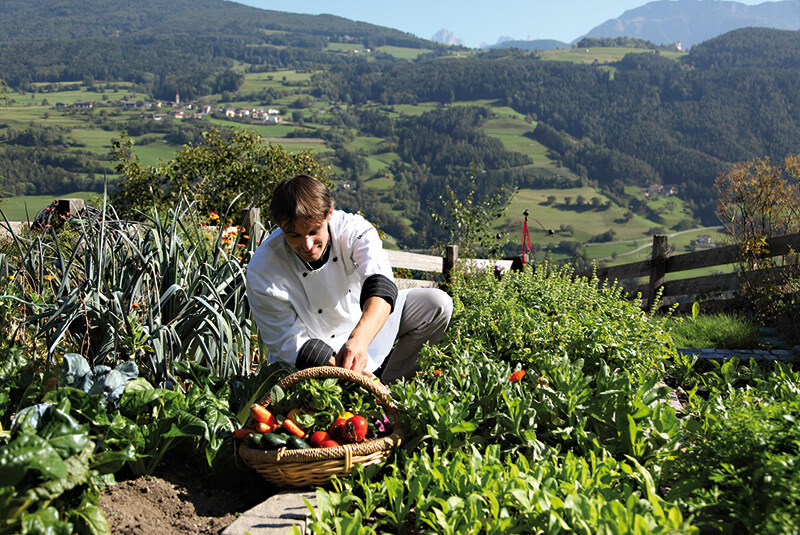 Vegetables from your own garden
