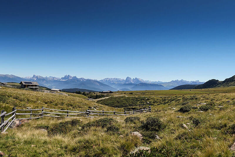 L’Alpe di Villandro in estate
