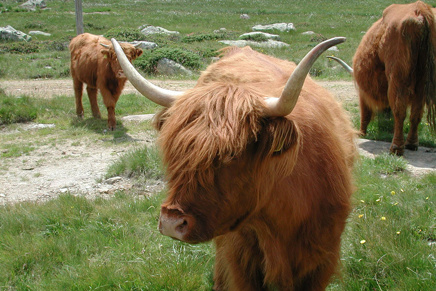 La nostra filosofia = Sostenibilità