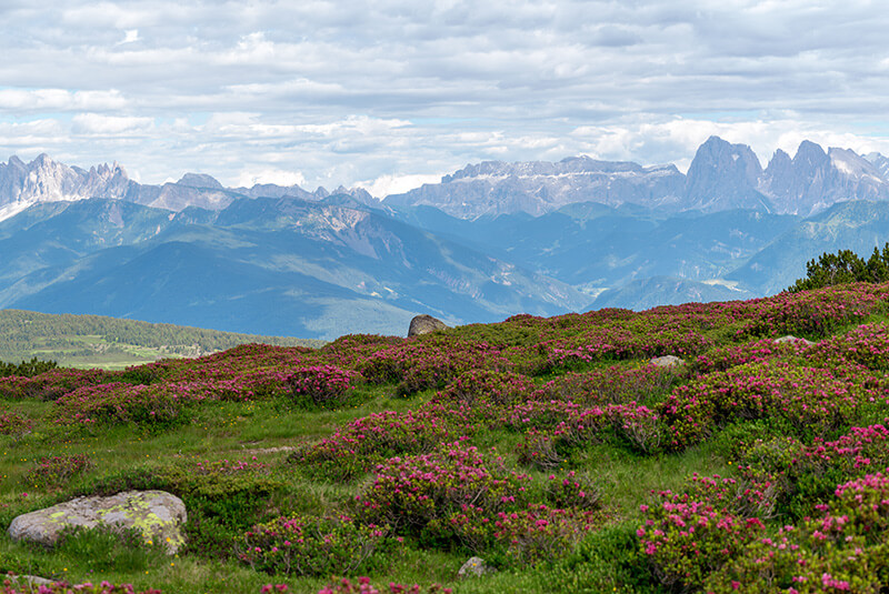 UNESCO Weltnaturerbe Dolomiten